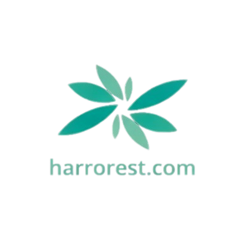 My Store